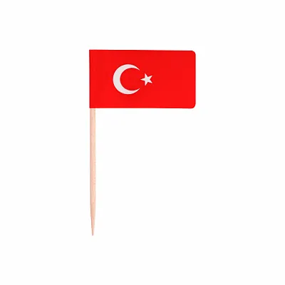 TÜRK BAYRAK KÜRDAN 100'LÜ