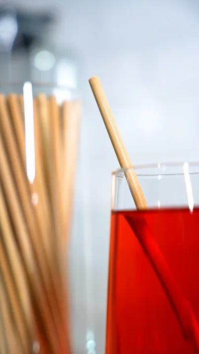 Bambu Pipet 8 Mm 100'lü - Görsel 3